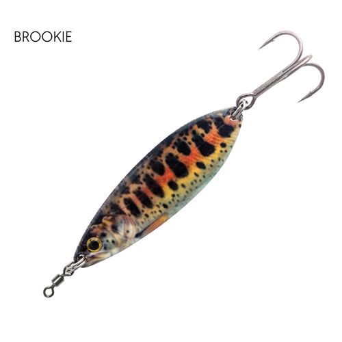 Black Magic Enticer Brookie