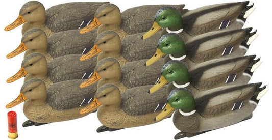 OO 16" Mallard Duck Family Decoys (4M & 8F)