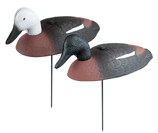 OO Foam Shell Paradise Decoy 12 w/stake