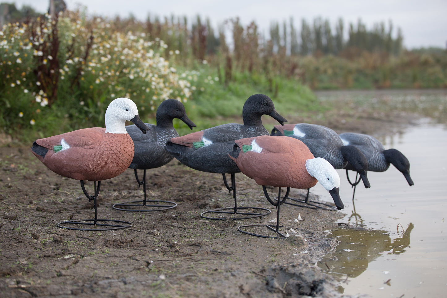 Game On Full Body Paradise Field Decoys 3xH 3xD