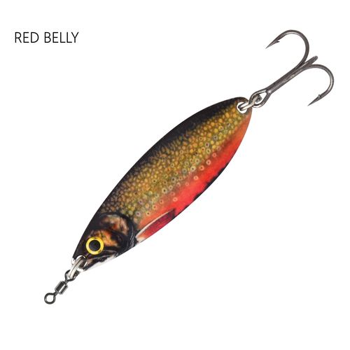 Black Magic Enticer Red Belly