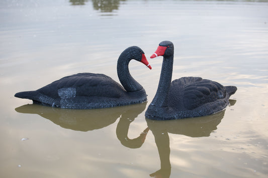 Game On Black Swan 2pack Full Body Floaters