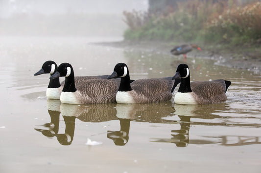 Game On Goose Floater Decoys Head Flocked 4pack