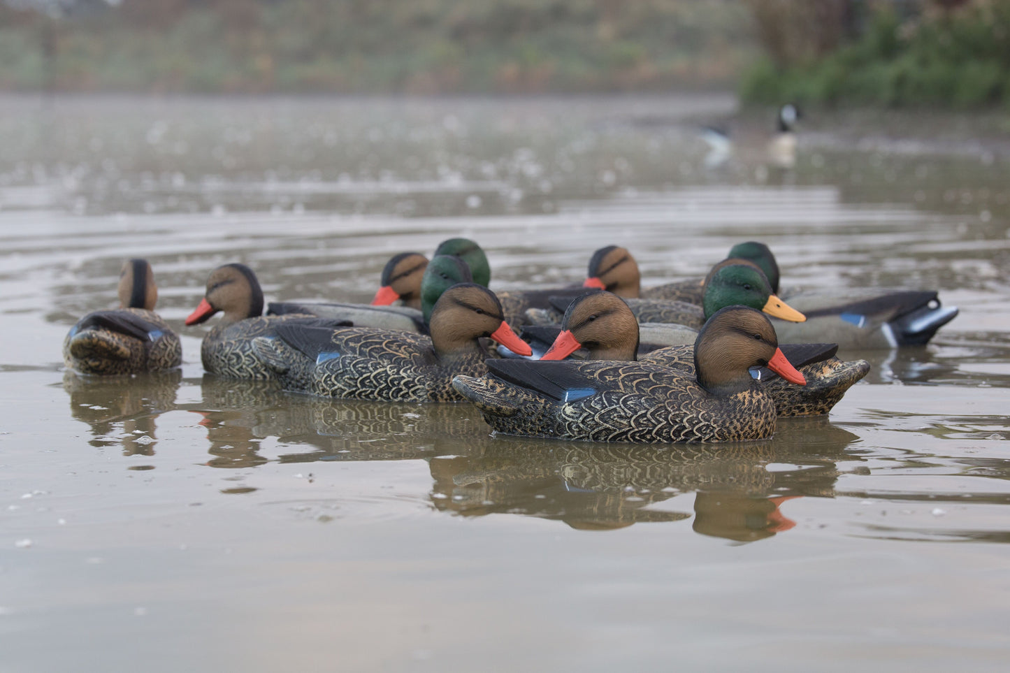 Game On Full Size Mallard 4xD 8xH