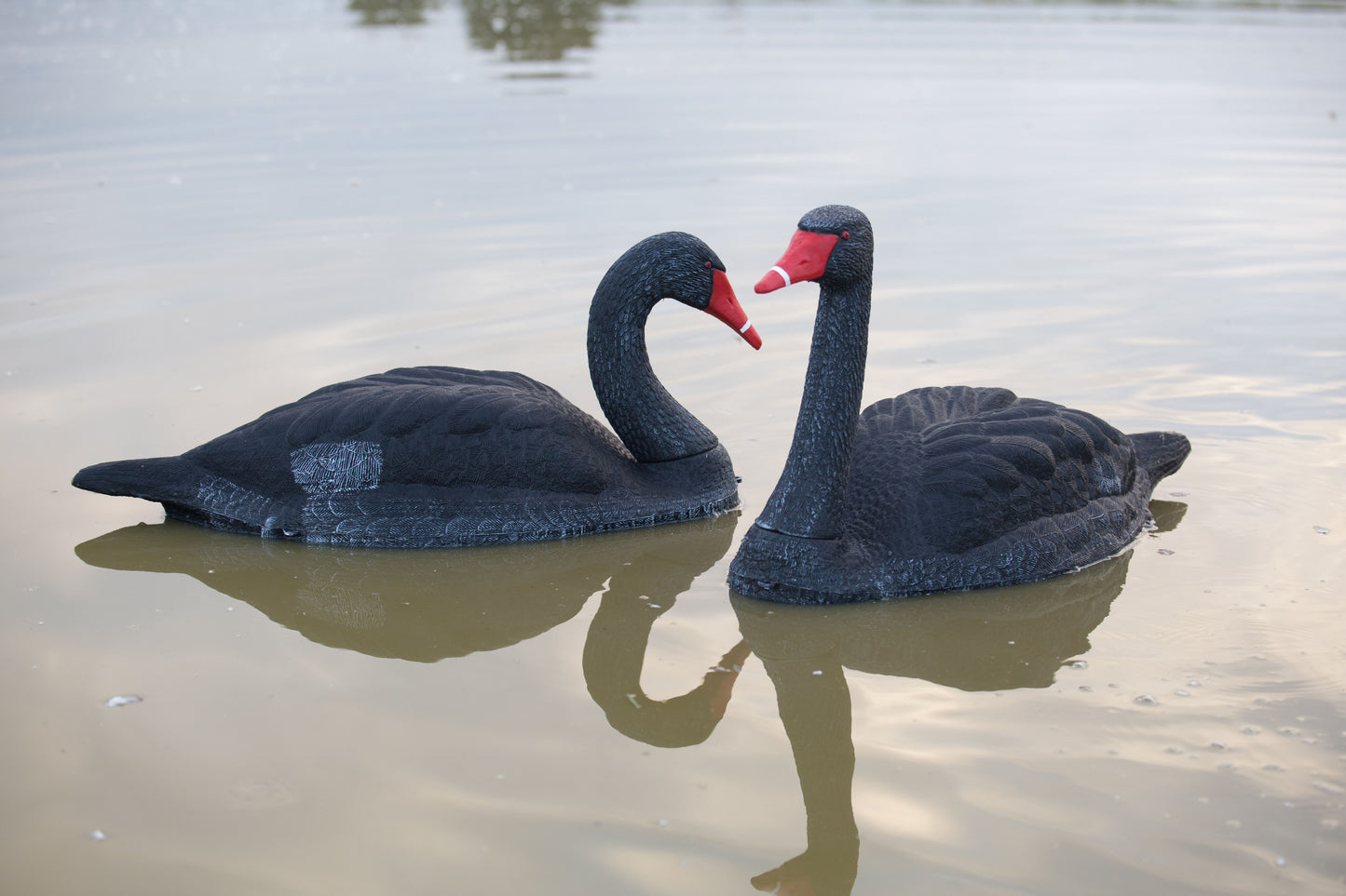 Game On Black Swan 2pack Full Body Floaters
